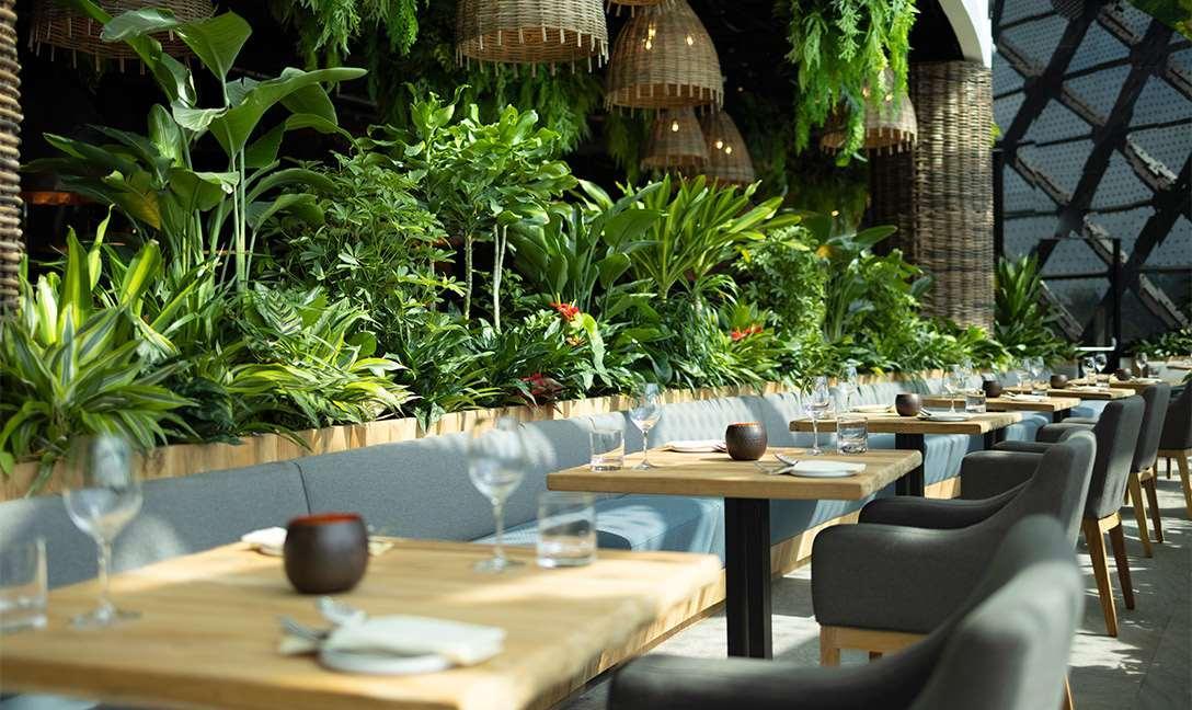 Dusit Thani Laguna Singapur Dış mekan fotoğraf Restaurant interior